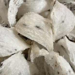 Tổ yến thô loại đặc biệt 50gr và 100gr