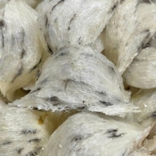 Tổ yến thô loại 1 50gr và 100gr