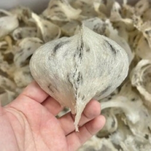 Tổ yến thô loại 1 50gr và 100gr