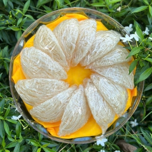 Tinh chế một mặt sợi