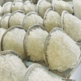 Tinh chế sơ mướp và sợi ngắn