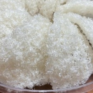 Tinh chế sơ mướp và sợi ngắn